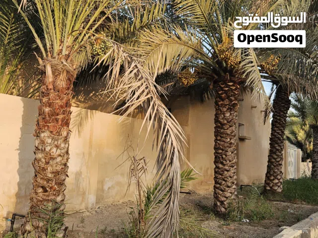 منزل للإيجار  في مجز الكبرى
