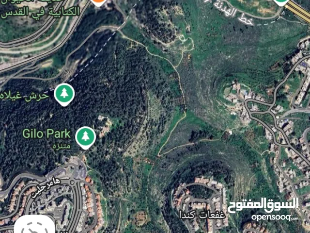 Farm Land for Sale in Jerusalem Beit Safafa