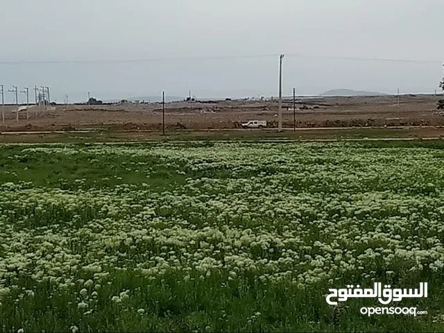 Residential Land for Sale in Mafraq Al-Badiah Ash-Shamaliyah