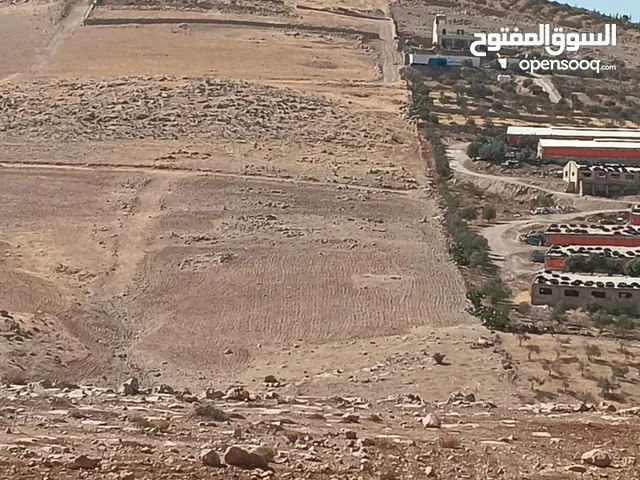 Mixed Use Land for Sale in Zarqa Sarout