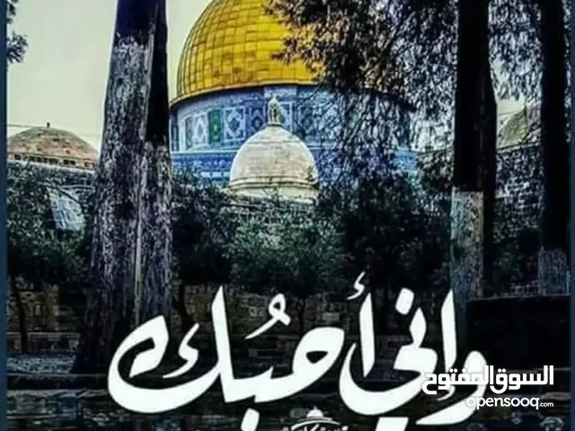 Lolo. Massoued