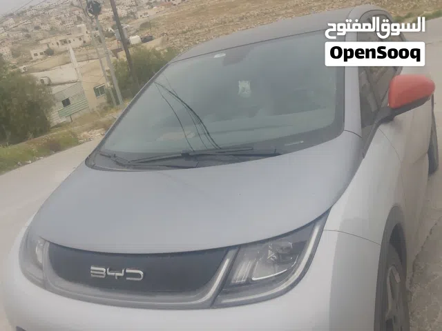 2022 بي واي دي دولفين