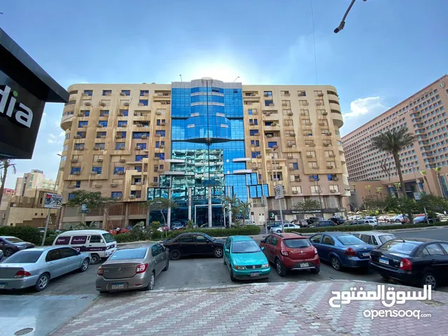 300 m2 4 Bedrooms Apartments for Rent in Cairo Nasr City