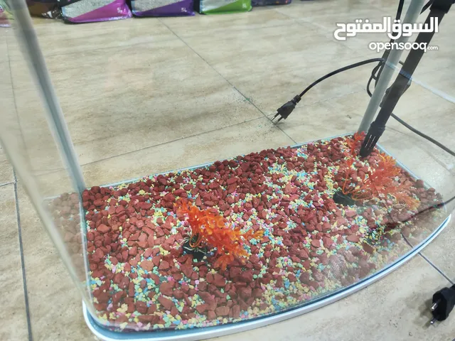 حوض سمك مستورد مجهز بالكامل انارة لد + احجار + عشب + فلتر داخلي بدون صوت