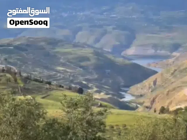 Mixed Use Land for Sale in Amman Other