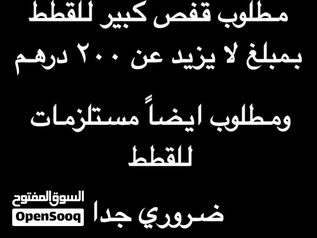 قفص كبير للقطط ومستلزمات للقط