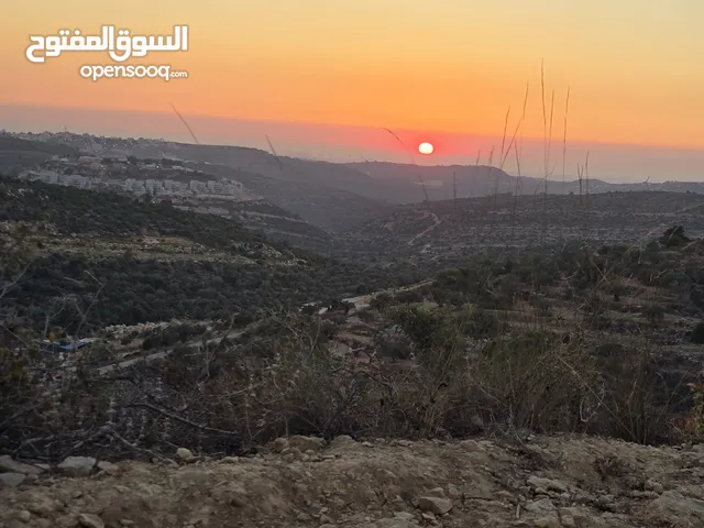 ارض مربعه الشكل اطلاله غربيه منطقه فلل ابو شخيدم  منطقه ظهر صبيح حوض2 واصلها جميع الخدمات للجادين