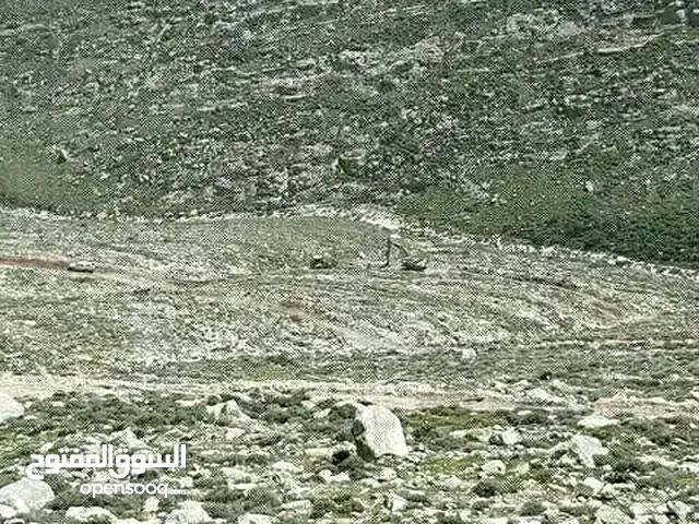 Mixed Use Land for Sale in Hebron Si'ir
