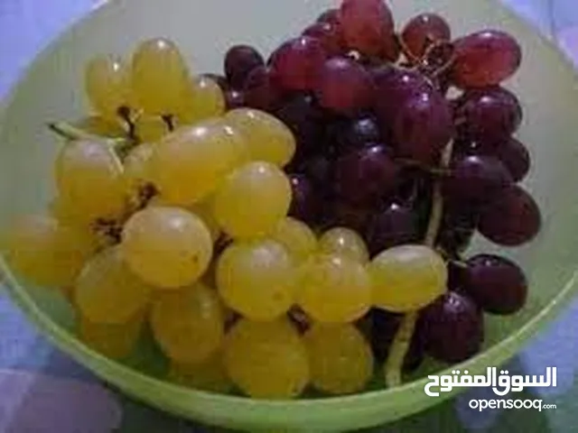 عقود اطباء اجانب