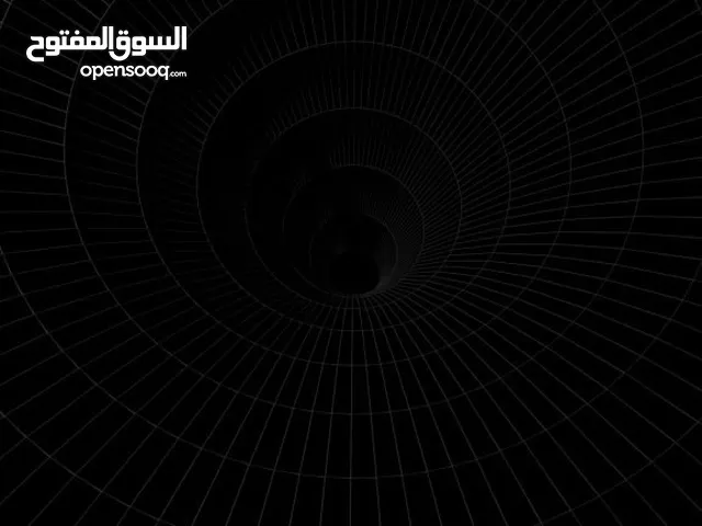 عدي ابو مهند