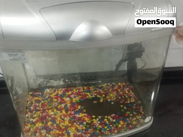 حواض سمك ياباني