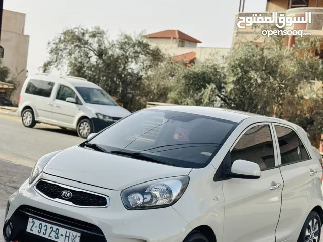 كيا مورنيج جيتي لاين