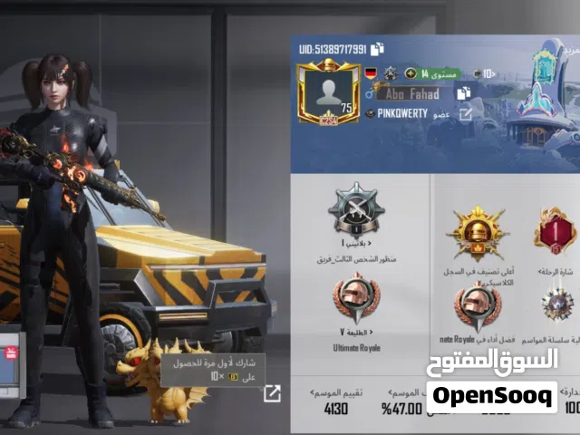 Pubg Accounts and Characters for Sale in Manama