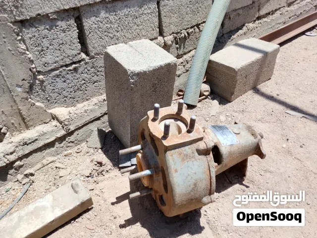 خنزيرة الماء صغيره الحجم