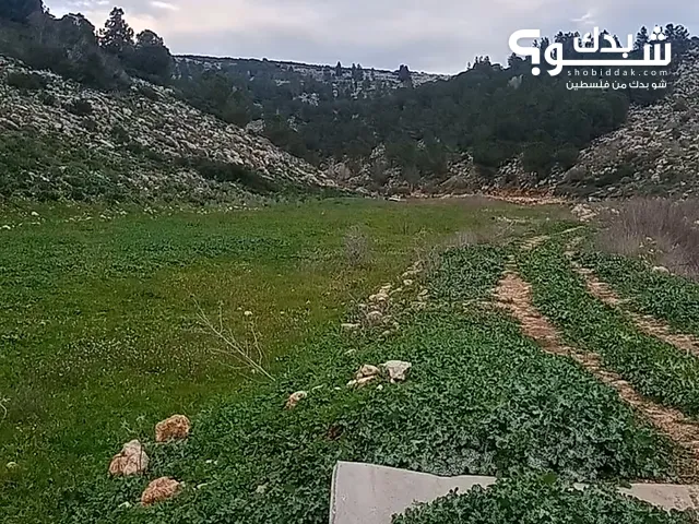 Farm Land for Sale in Tulkarm Other