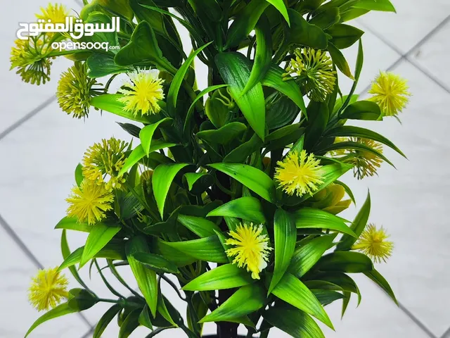 Artificial Plants - Home Decor