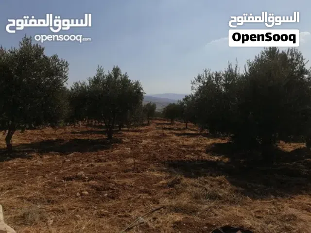 Farm Land for Sale in Jerash Unaybah