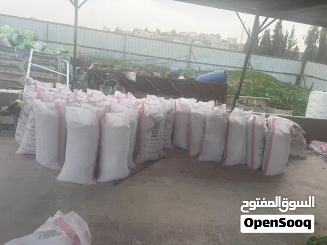 خبز نظيف الهاشمية نظيف للبيع