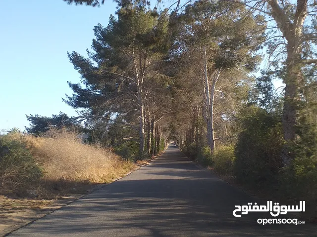 Residential Land for Rent in Misrata Tripoli St
