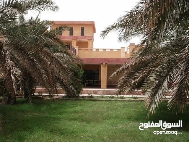 More than 6 bedrooms Farms for Sale in Basra Abu Al-Khaseeb