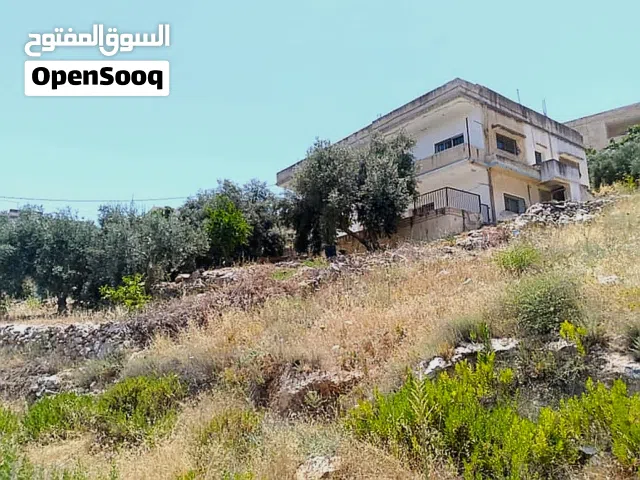 منزل مستقل طابقين .. الارض دونم و 19 متر ... دكه ... للبيع بسعر مغري جدا جدا جدا جدا جدا بثمن الارض