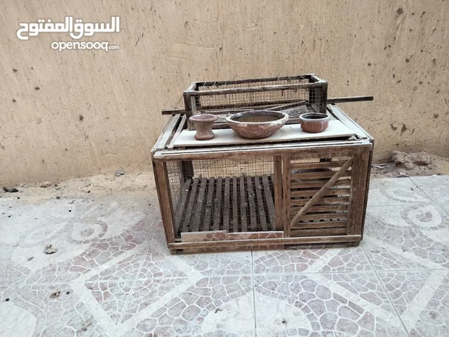 مصيده حمام ويمام