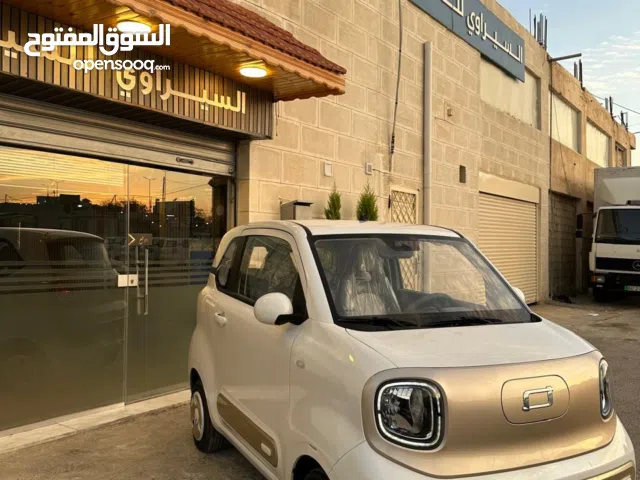 2024 بستيون بوني EV
