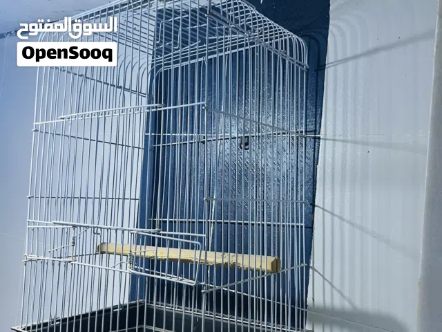 قفص ببغاء نضيف للبيع