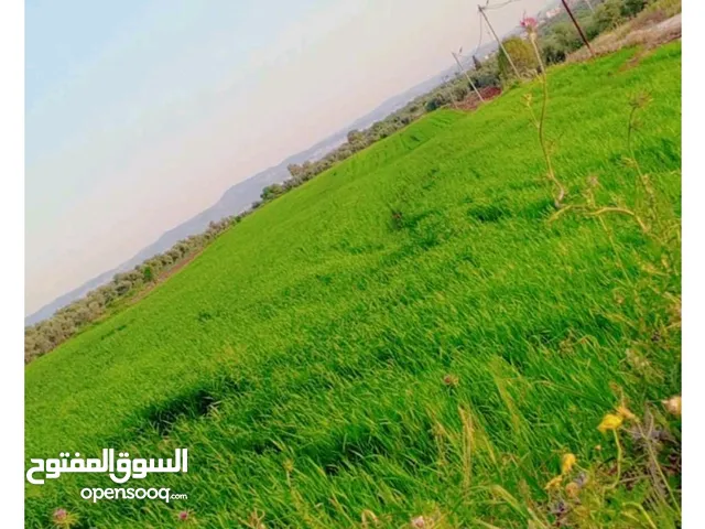 Farm Land for Sale in Irbid Zabda