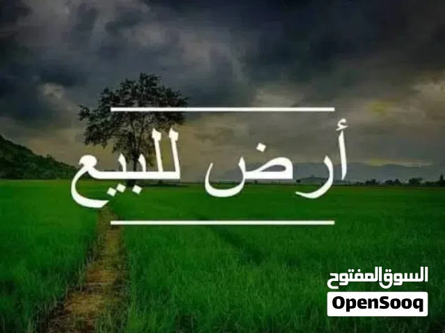 1150 متر على طريق الخدمات سوق الجمعه