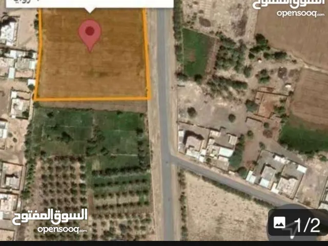 Farm Land for Sale in Al Batinah Al Khaboura