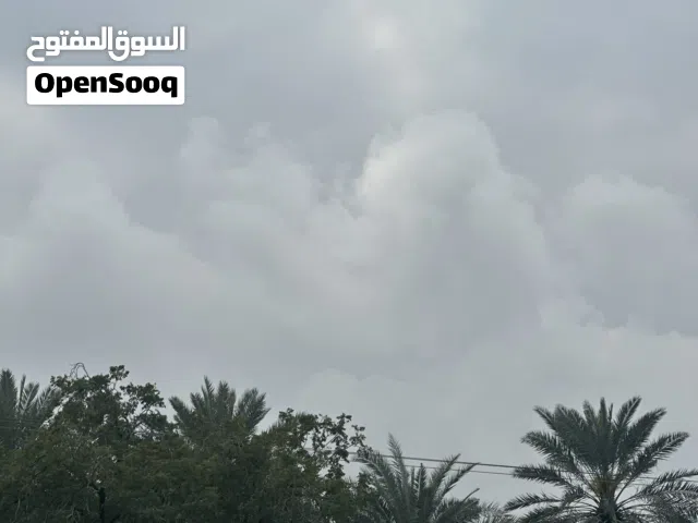 للتميز في السكن بيع مزرعة فيها أشجار بسيطة