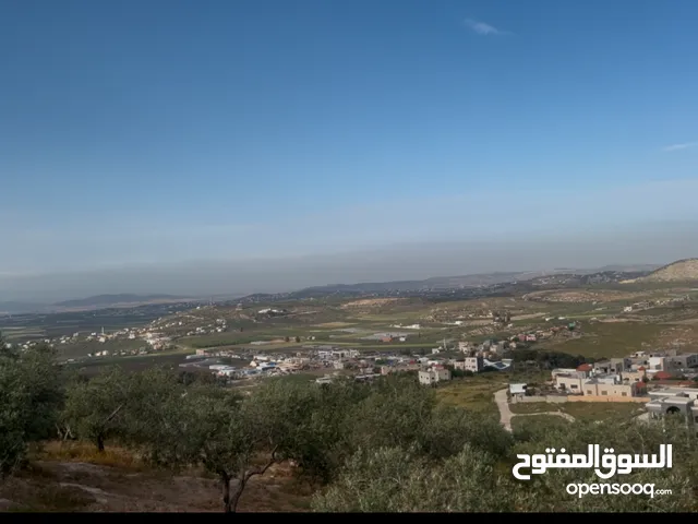 Mixed Use Land for Sale in Jenin Arraba