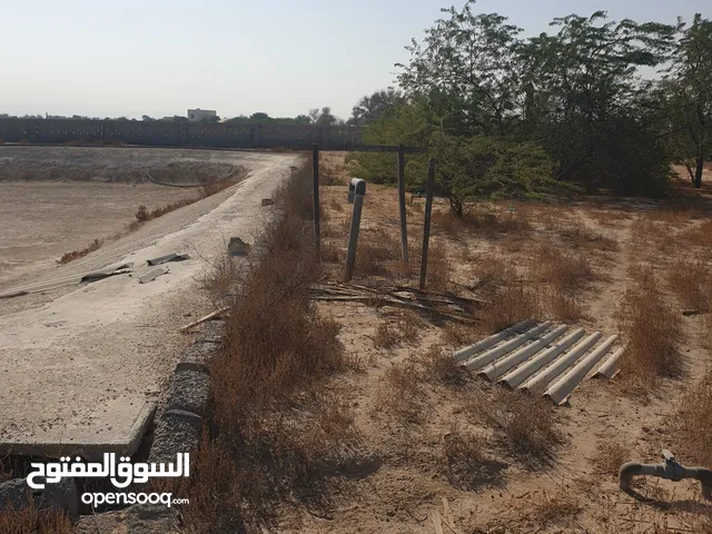 Studio Farms for Sale in Ras Al Khaimah Al Kharran
