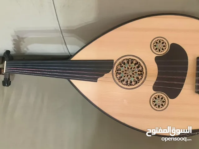 دروس خصوصية في العزف على العود والكمان والقانون