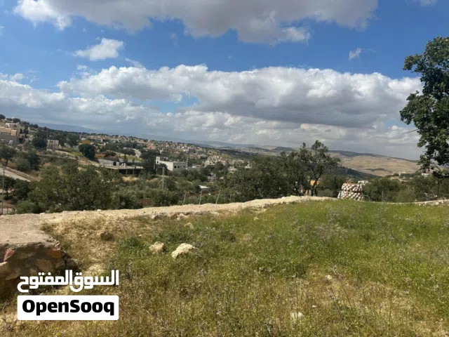 Residential Land for Sale in Zarqa Al-Alouk
