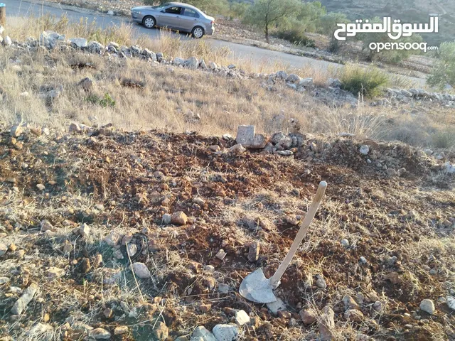 قطعة أرض مميزة في مزارع النوباني