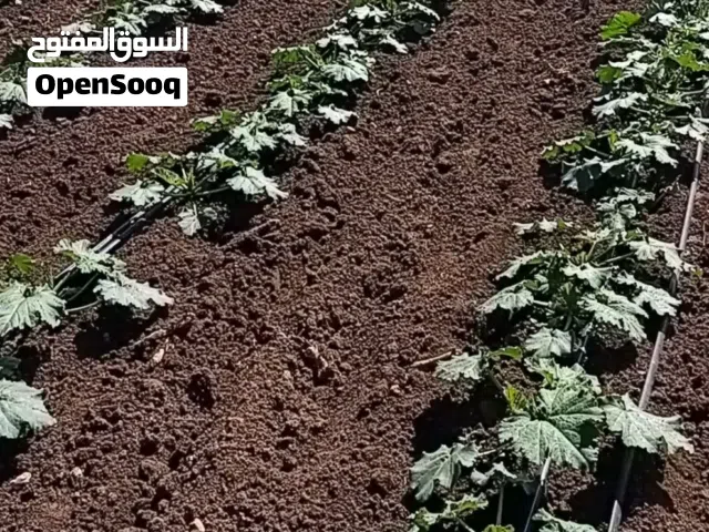 Mixed Use Land for Sale in Fès Other
