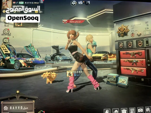 Pubg Accounts and Characters for Sale in Ramtha
