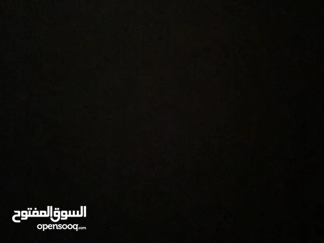البيع شاه جامودية تحتها مواليد اثنين الحلال خالي من جميع لعذاريب