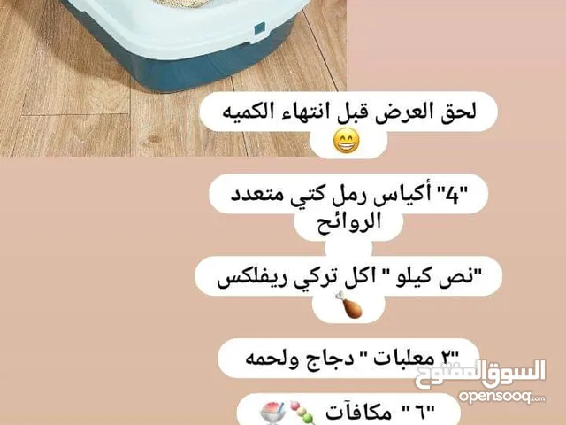 رملل قطط ..تراب قطط