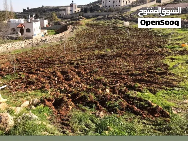 قطعة ارض سنجر الخليل خلف كازية الجنوب