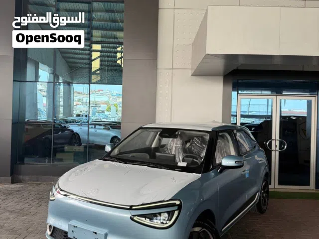 2025, Dongfeng, Nammi Box