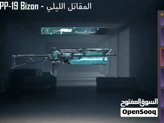 Pubg Accounts and Characters for Sale in Basra
