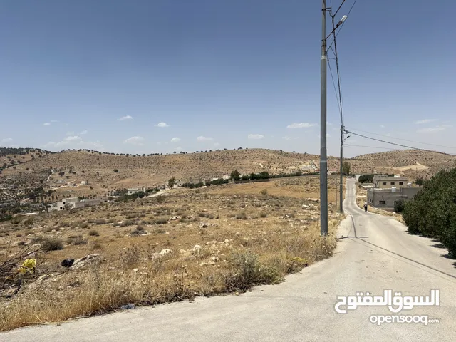 ارض مميزة جدا حوض القصبات بيرين بجانب شفا بدران