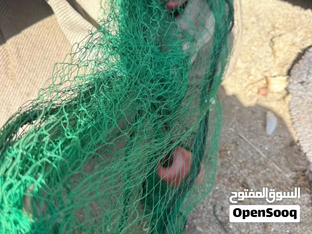 ليخ صيمه السعر 110 ريال قابل للتفاوض