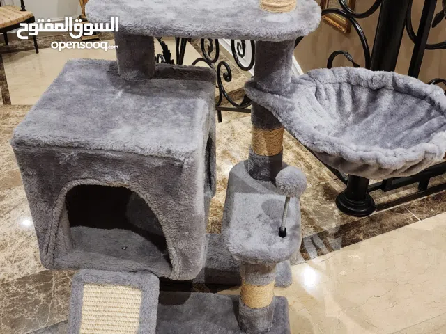 بيت قطط جديد