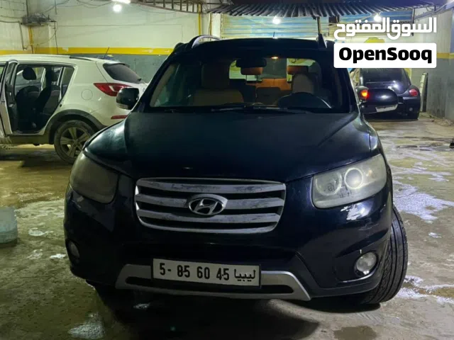 سنتافي 2012 متع الدار