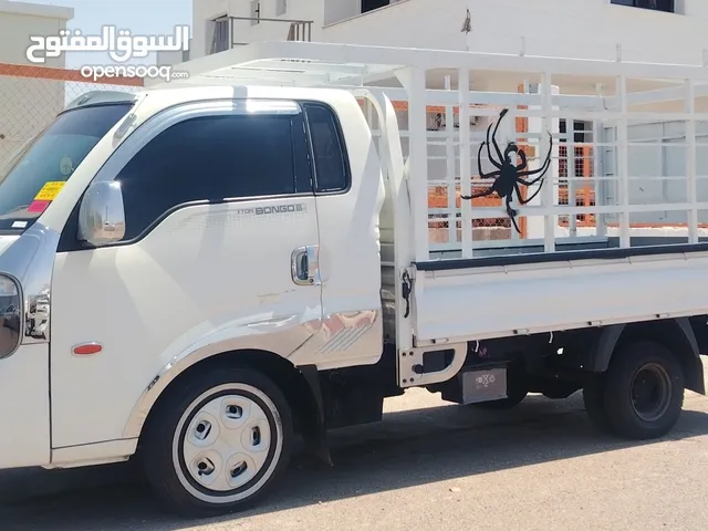صندوق بورتر او بنجو للبيع