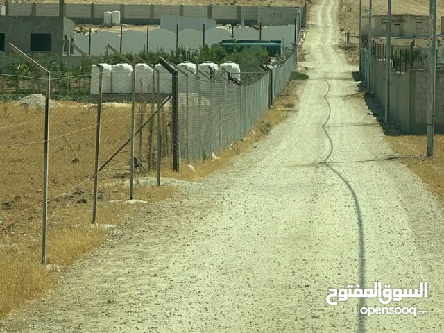 قطعتين ارض متلاصقات كل قوشان منفصل
